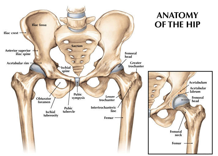 The Hip Back To Health Wellness Centre