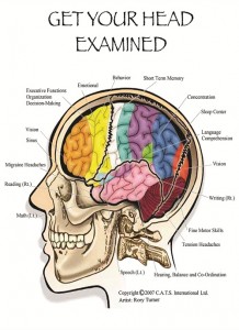 Head examination, concussion treatment