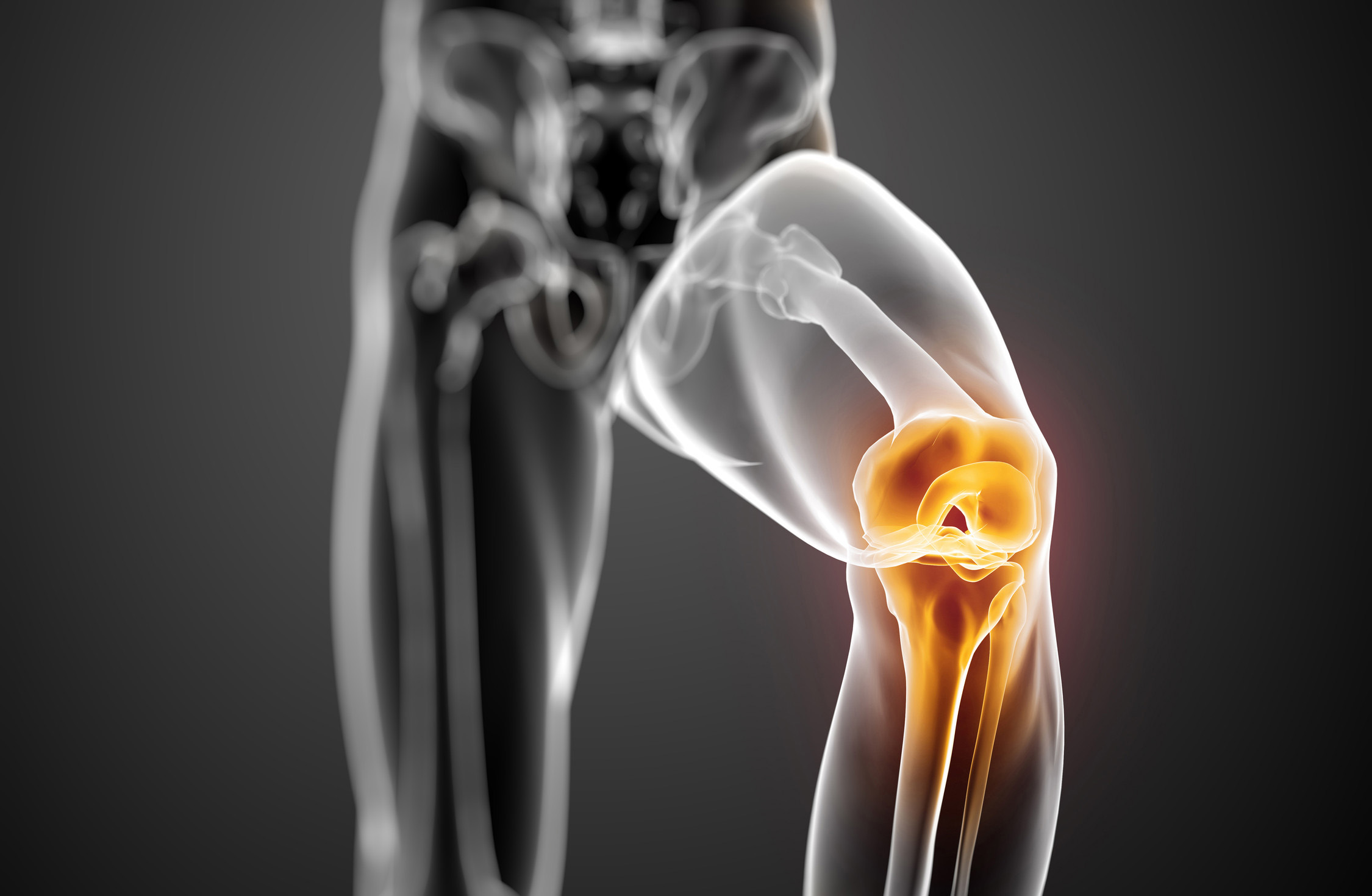Knee-Joint-highlighted_cropped
