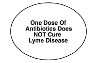 lyme antibiotic