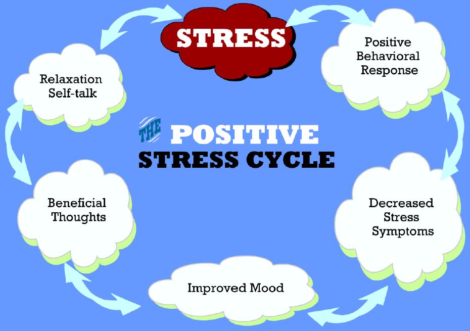 Who Doesn’t Suffer from Stress at One Point in Their Lives?