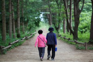 chiropractic for the elderly, elderly