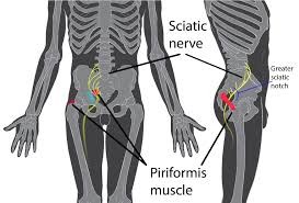 Lower Back – Sciatica Stretches