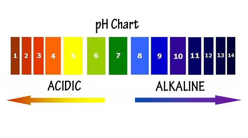 Alkaline and Acidic Foods