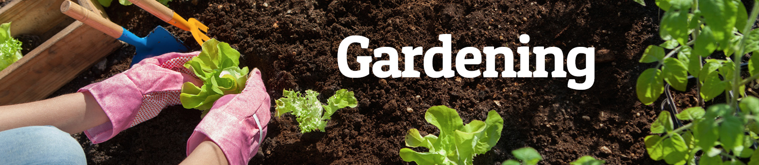 Gardening Ergonomics Video