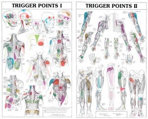 trigger points