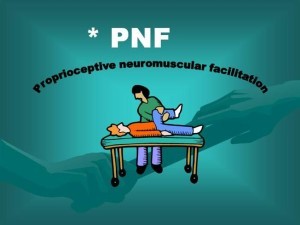 Proprioceptive neuromuscular facilitation