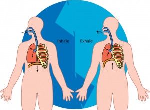 breathing picture lungs