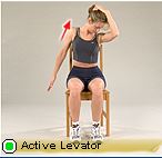 active levator