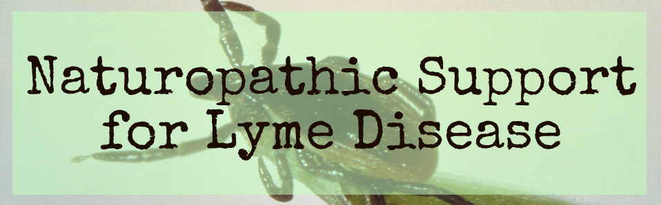 Naturopathic Support for Lyme Disease