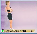thoracic extension mob towel